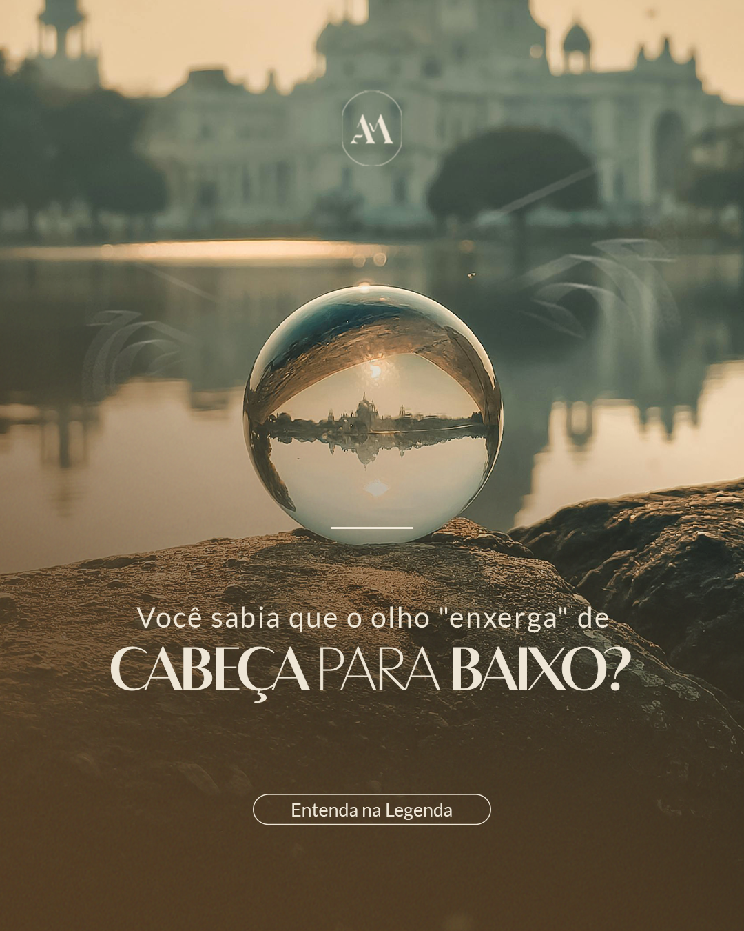 Você sabia que o olho “enxerga” de cabeça para baixo?